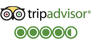 Rent yacht service review - TripAdvisor rating 4.5/5