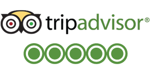 Rent yacht rating - TripAdvisor 5/5