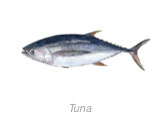 Tuna